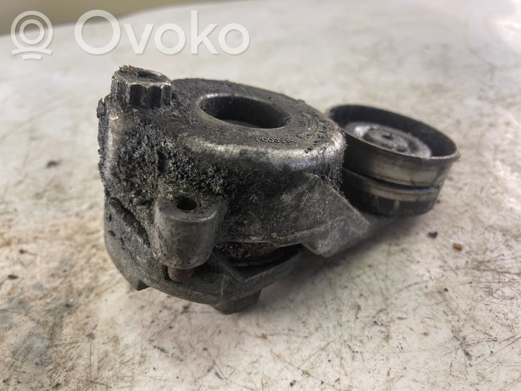 Chrysler 300 - 300C Napinacz paska wielorowkowego / Alternatora 