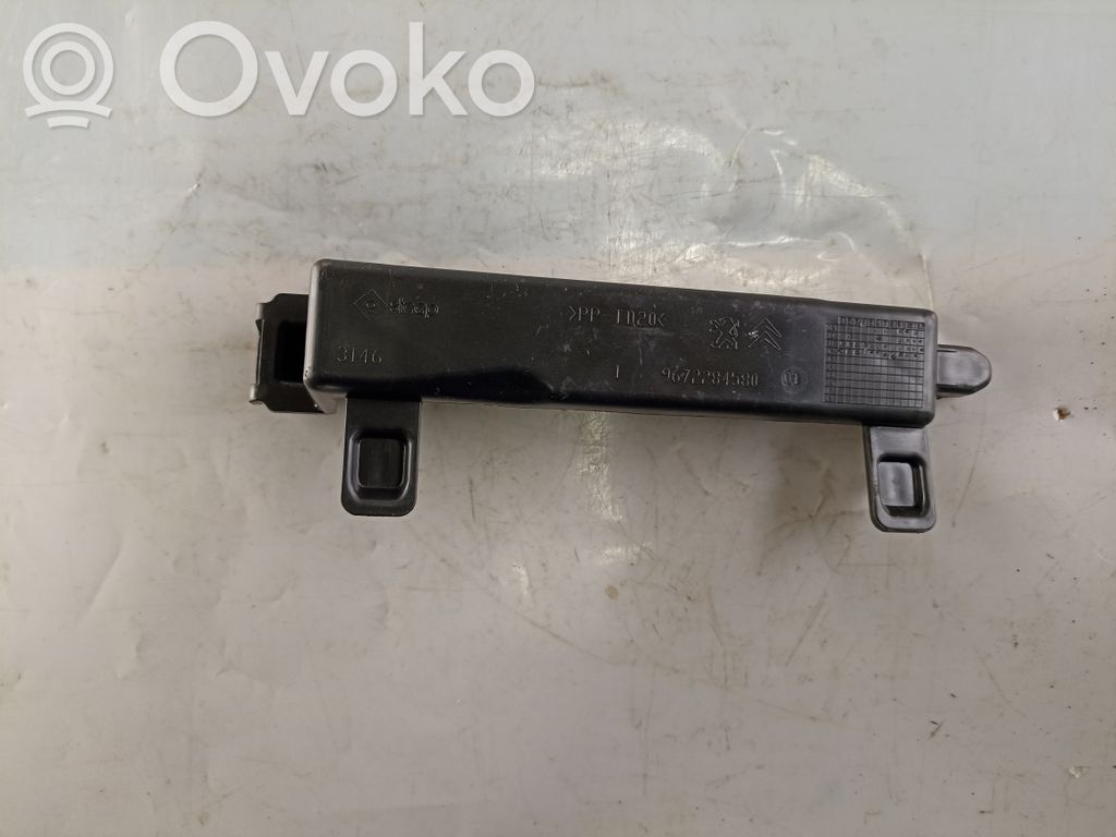 Inne elementy wykończeniowe drzwi tylnych   9672284580,3146