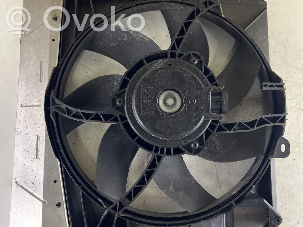 Peugeot 207 Electric radiator cooling fan 
