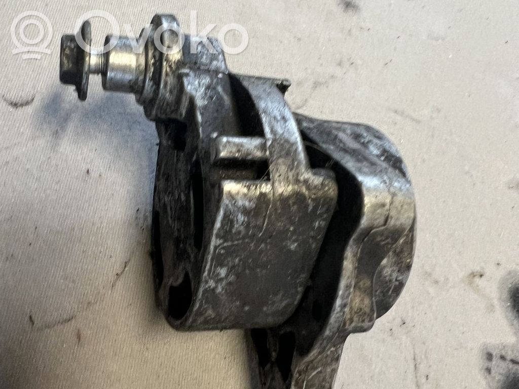 Renault Vel Satis Diržo įtempėjas 
