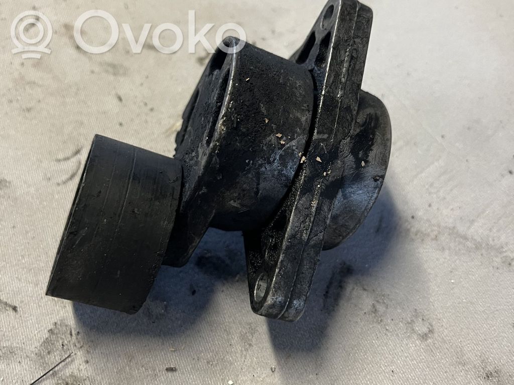 Renault Vel Satis Diržo įtempėjas 