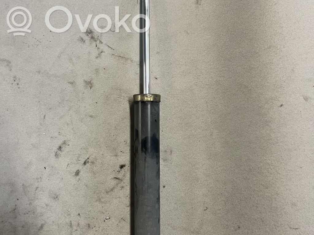 Renault Modus Aizmugurē amortizators 