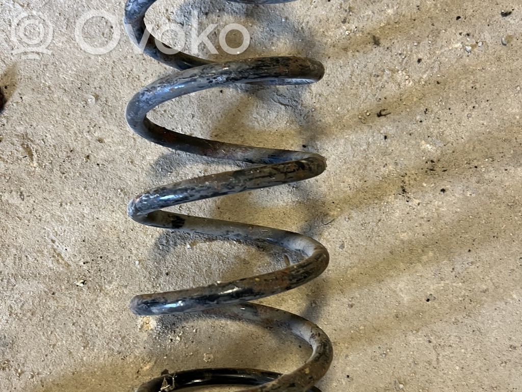 Rear coil spring
