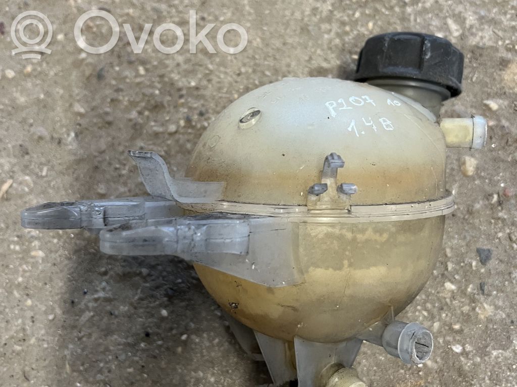 Peugeot 207 Aušinimo skysčio išsiplėtimo bakelis 
