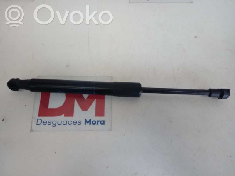 Tailgate/trunk/boot lid buffer