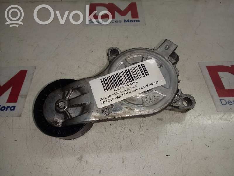 Peugeot Partner Tendicinghia generatore/alternatore