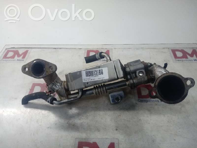 Válvula EGR   R2AX20304