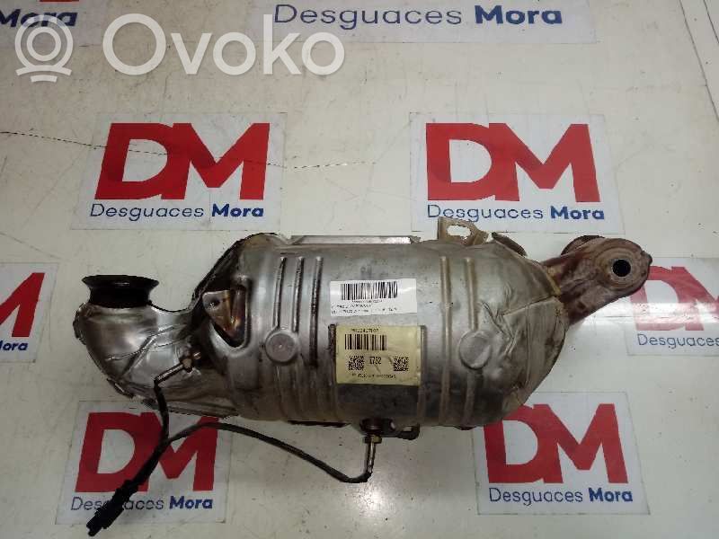 Citroen C3 Filtro antiparticolato catalizzatore/FAP/DPF
