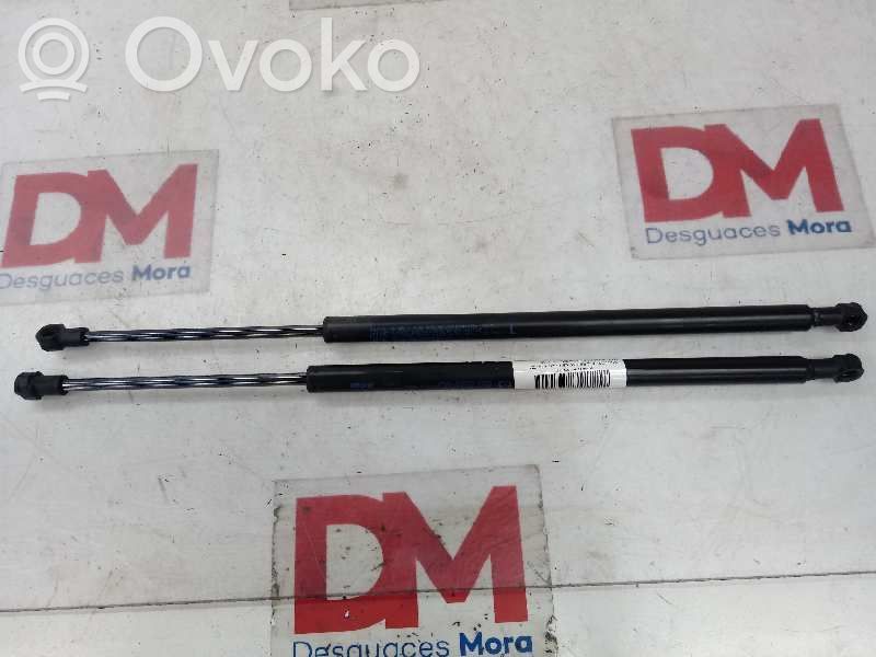 Tailgate/trunk/boot lid buffer