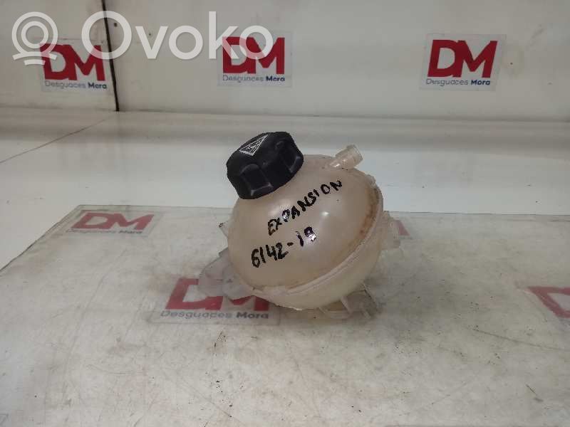 Peugeot 308 Vaso di espansione carburante