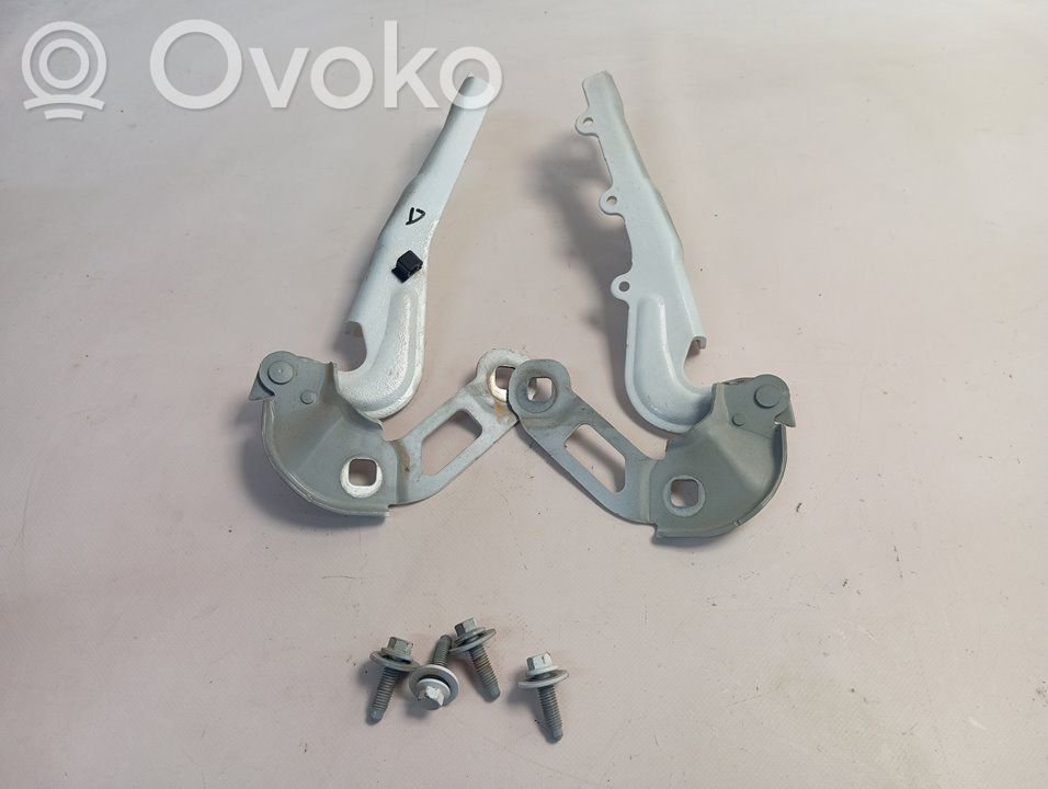 Ford Focus Engine bonnet/hood hinges 