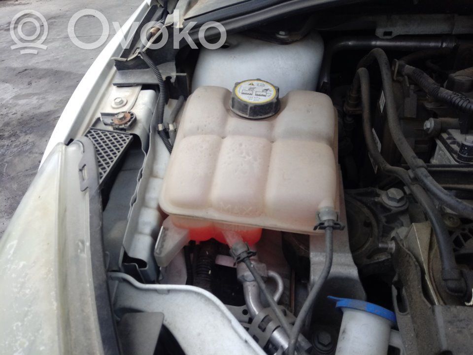 Fuel expansion tank