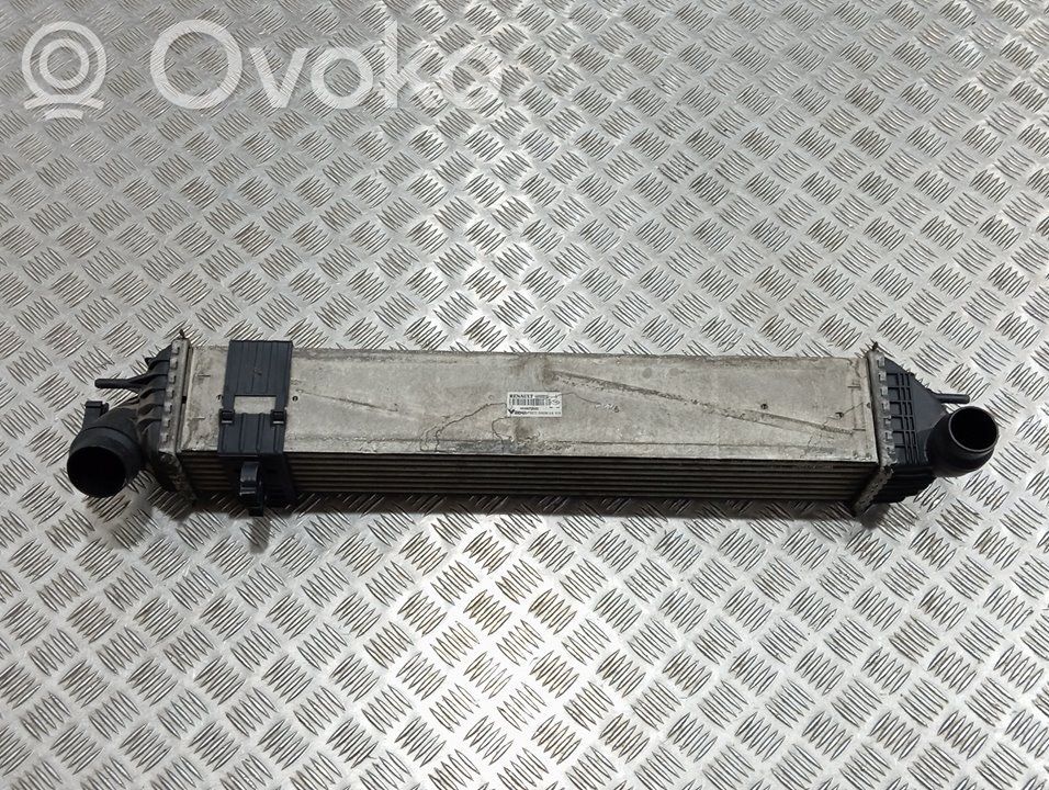 Renault Laguna III Radiatore intercooler 