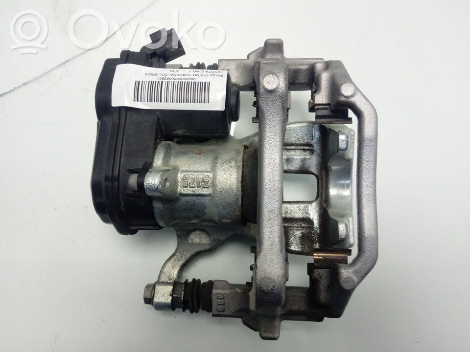 Takajarrusatula   46310F4011