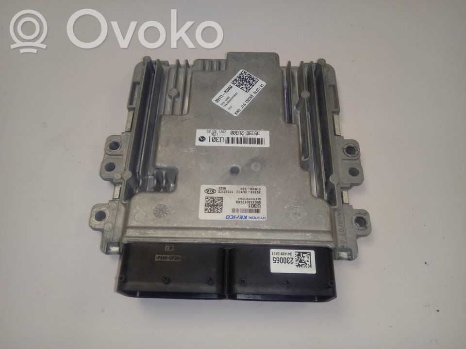 Unidad de control/módulo del motor   391992U100
