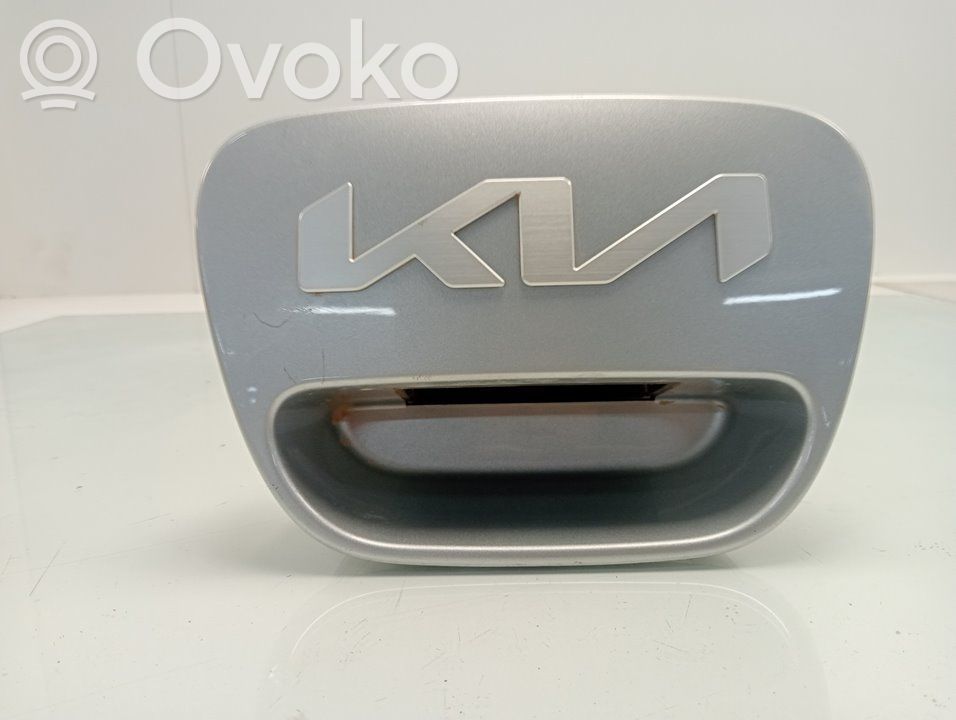 Manecilla externa puerta trasera   81720G6010