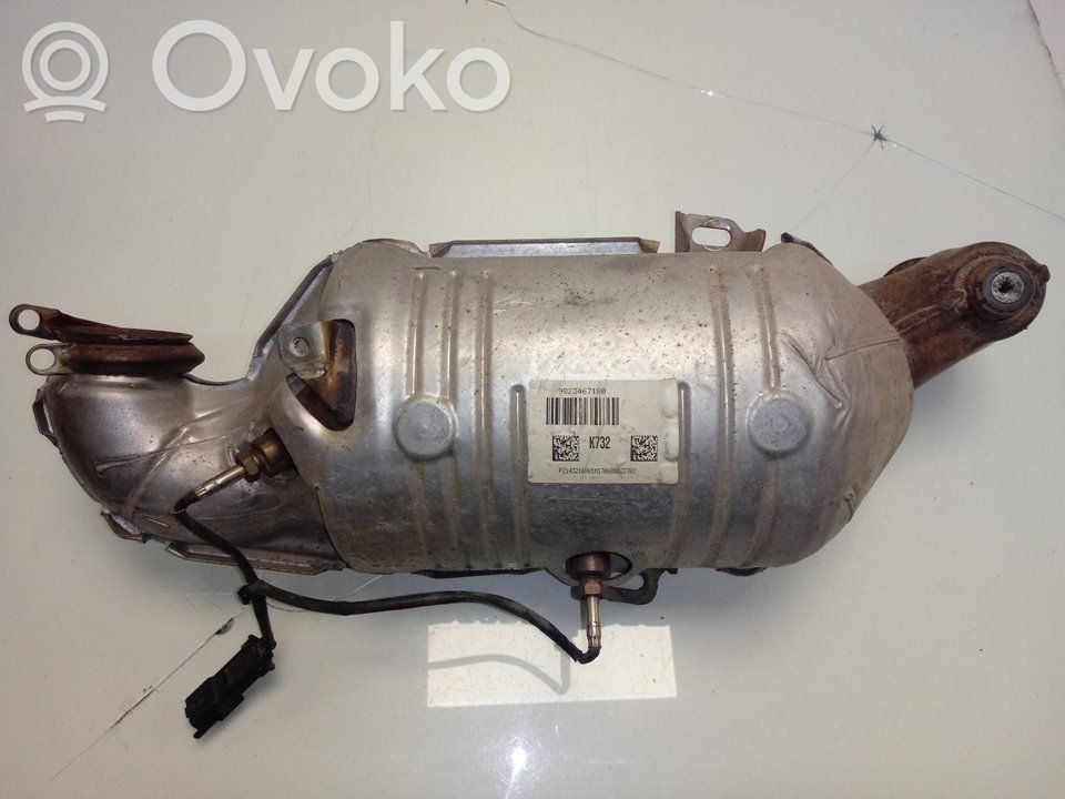 Citroen C3 Filtro antiparticolato catalizzatore/FAP/DPF