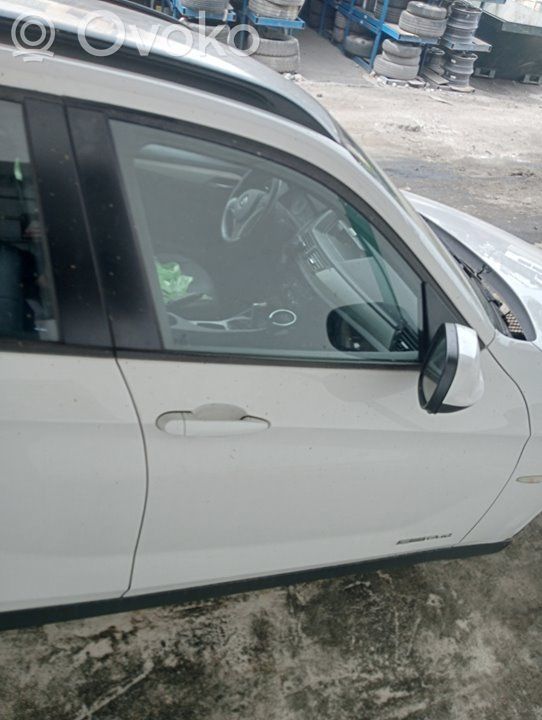 Portiera anteriore   41009628746
