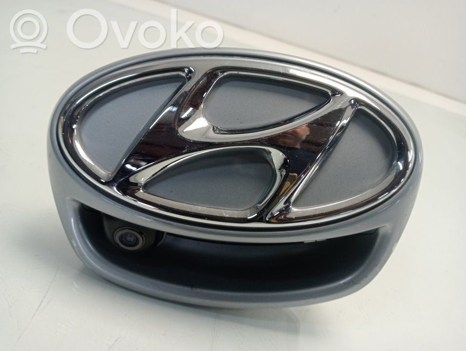 Hyundai Ioniq Manecilla externa puerta trasera 