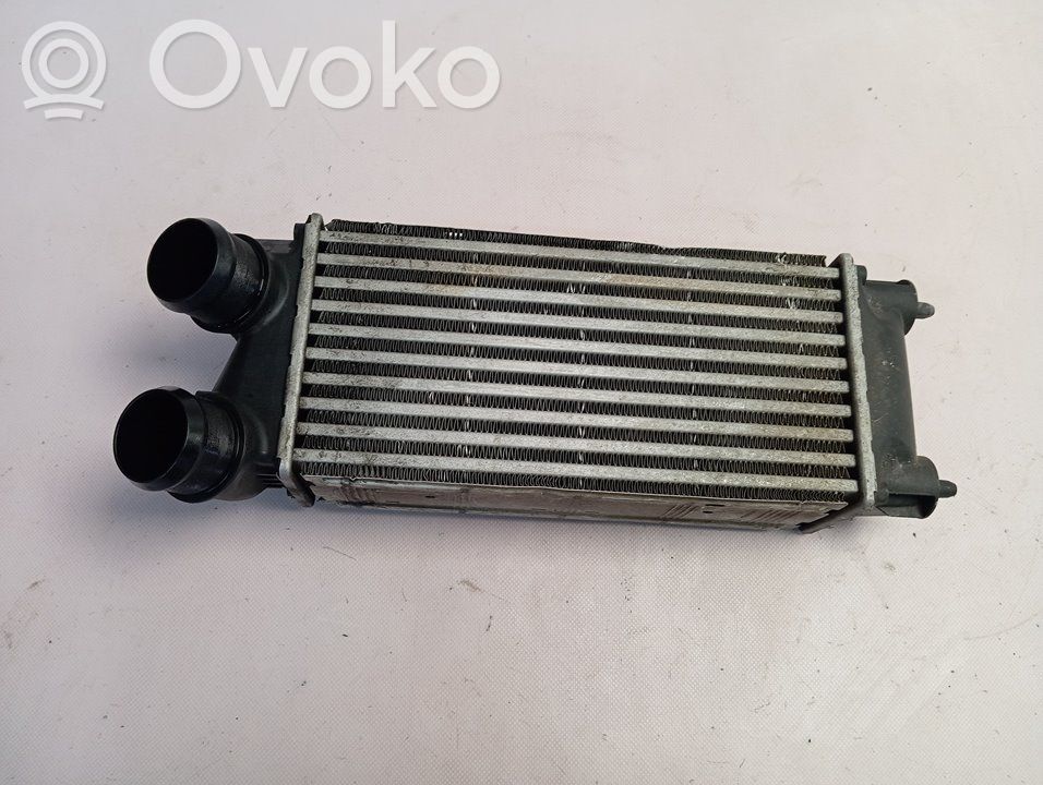 Interkūlerio radiatorius   9800291280