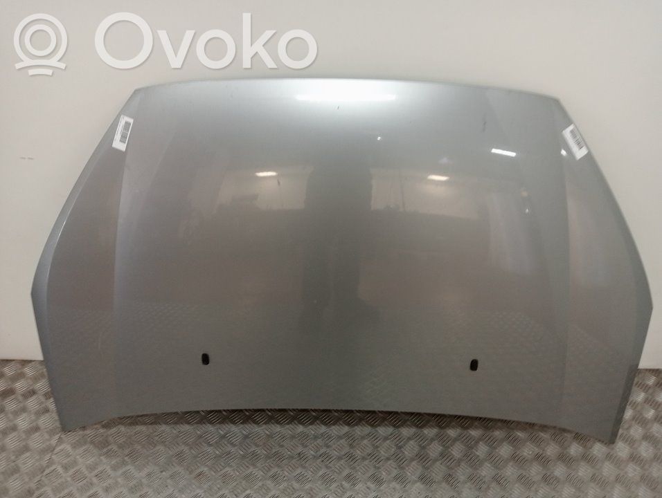 Capó/tapa del motor   1569486