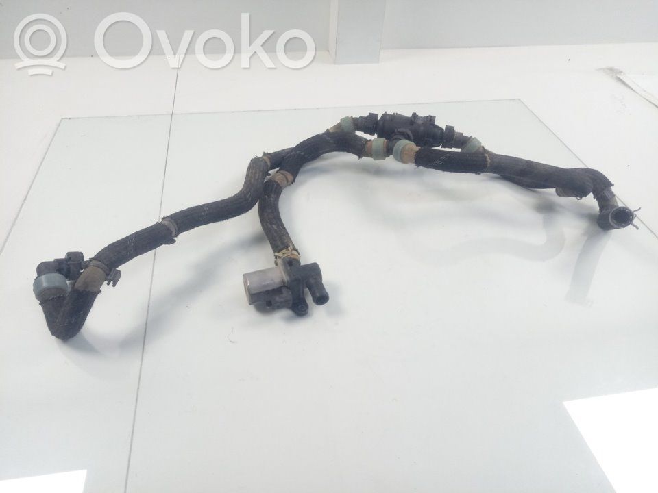 Termostato   212006896R