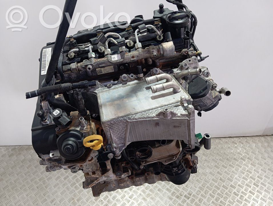 Motore   CXM