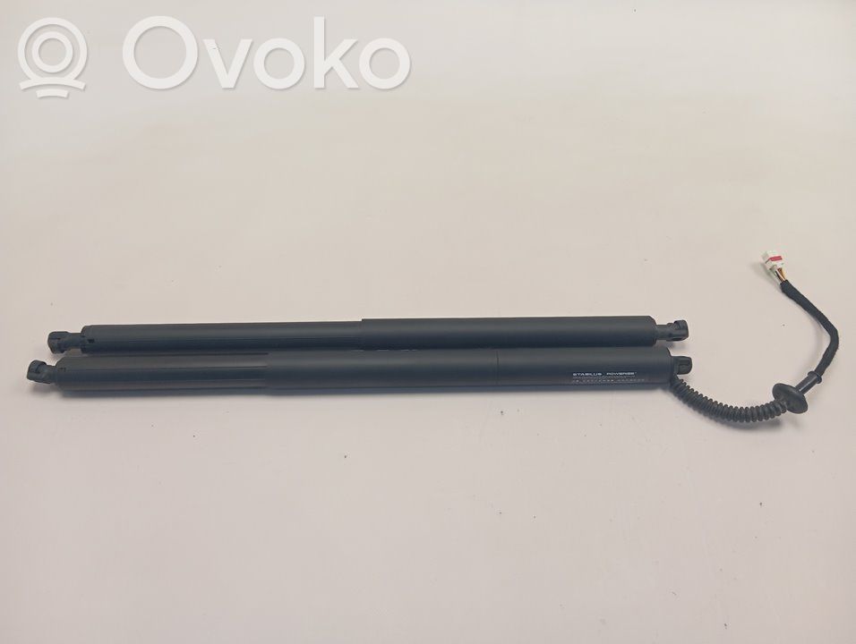 KIA Niro Tampon hayon/capotă portbagaj 