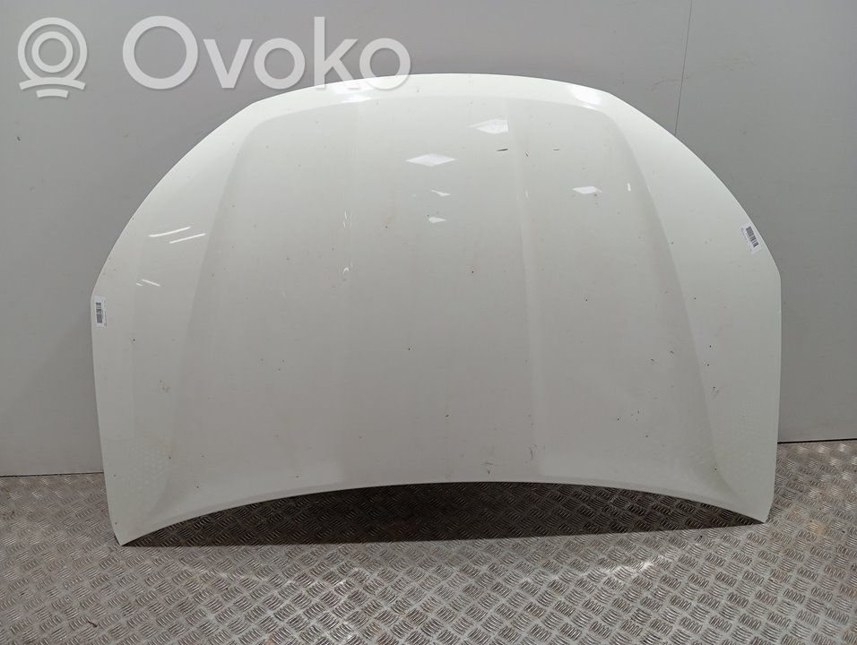 Dzinēja pārsegs (vāks)