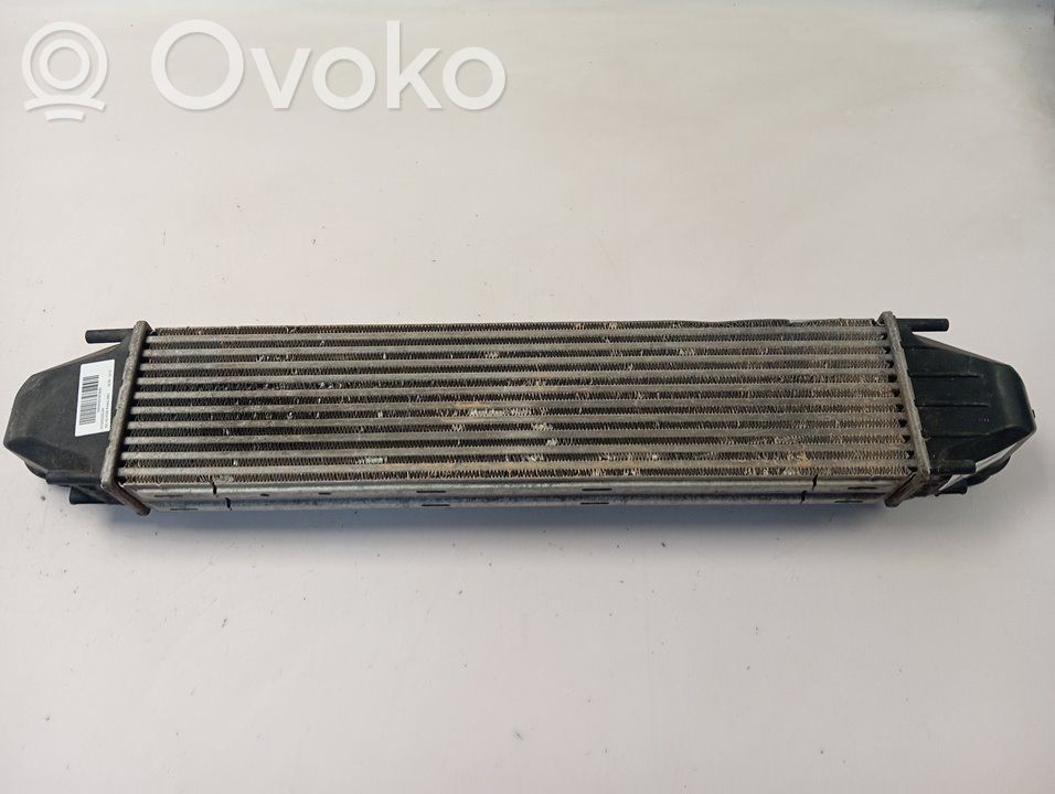 Interkūlerio radiatorius   31273910