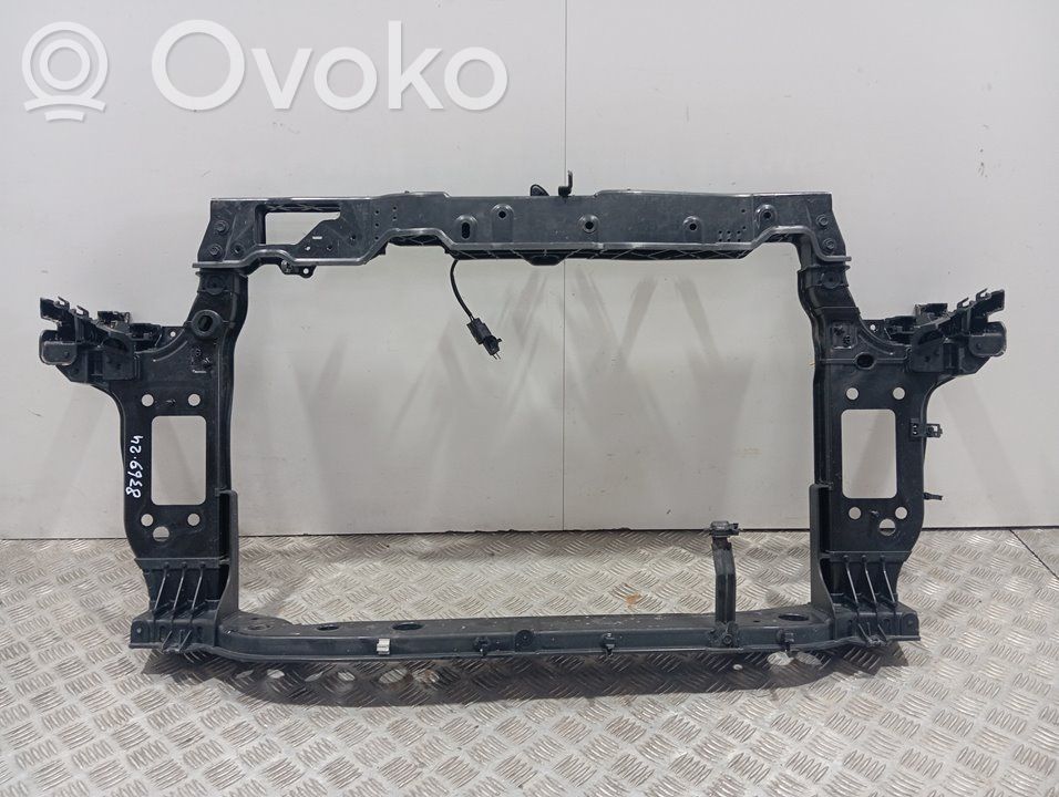 Panelė   64101G6000