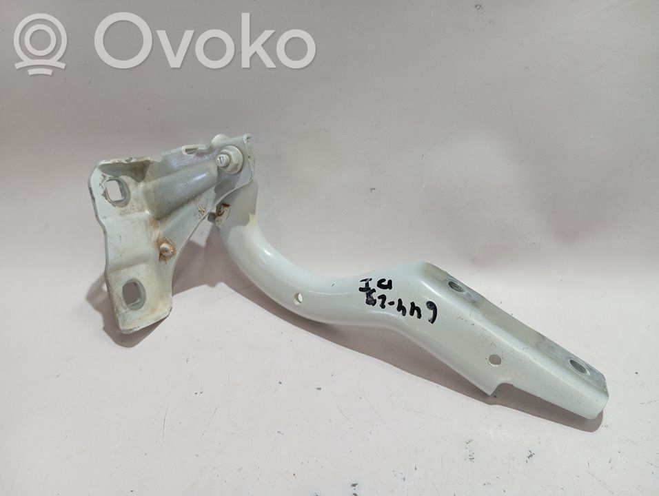 Fiat 500X Balamale capotă 