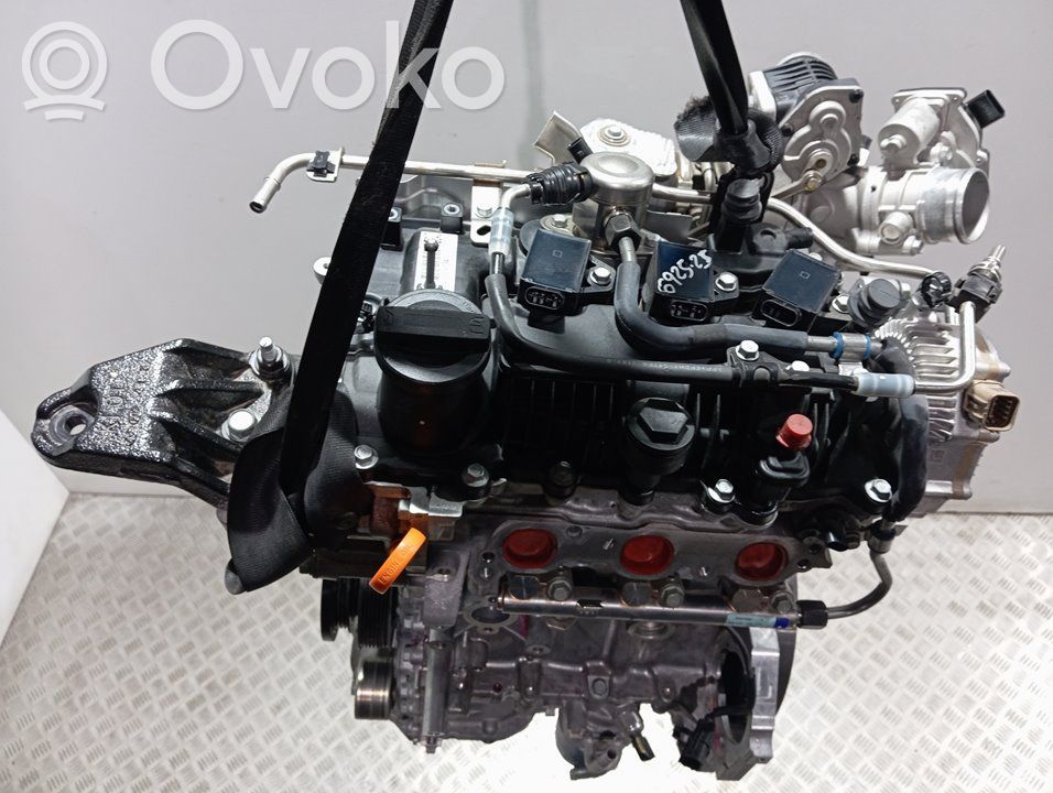 Motor   G3LF