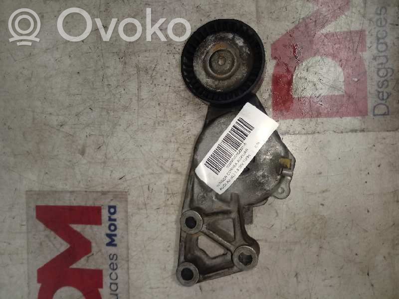 Audi A3 S3 8L Tendicinghia generatore/alternatore 