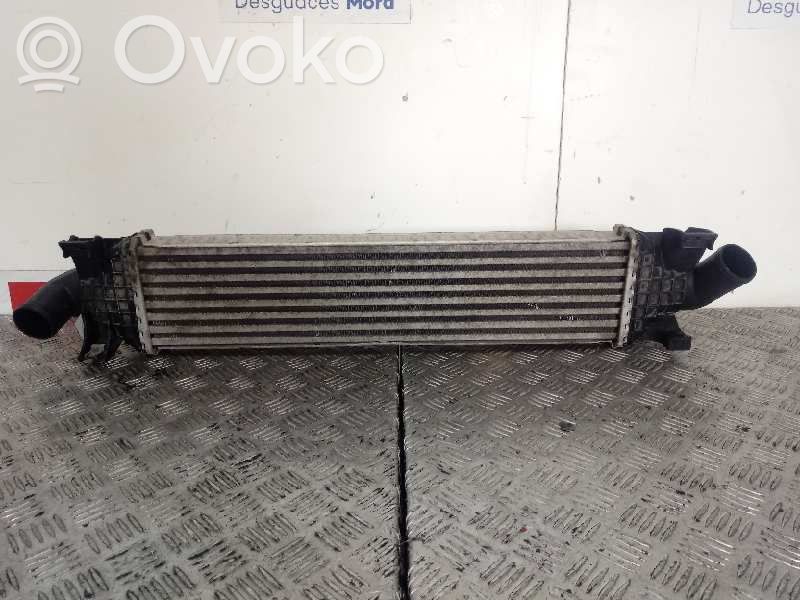 Intercooler radiator