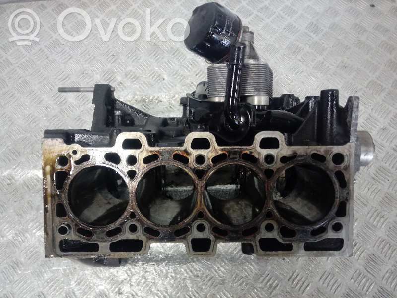 Renault Megane II Engine block 