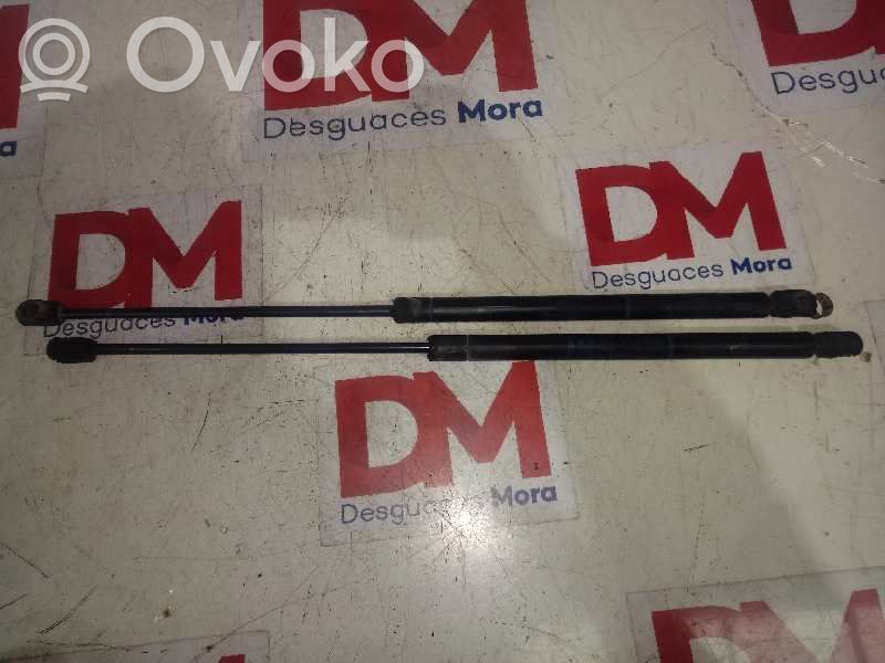 Tailgate/trunk/boot lid buffer