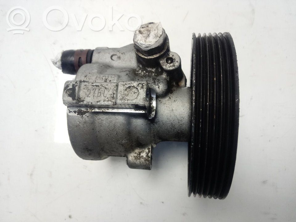 Ohjaustehostimen pumppu   246C
