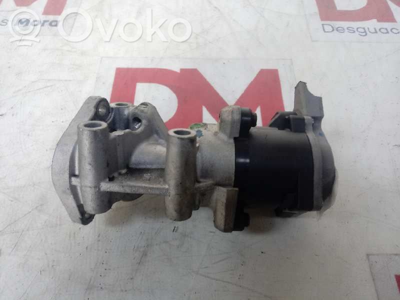 Válvula EGR   4R8Q9D475A