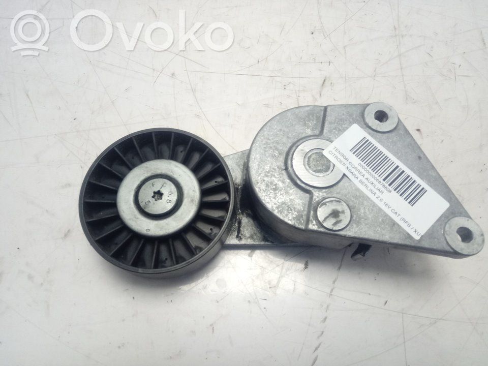 Citroen Xsara Întinzător curea generator/alternator