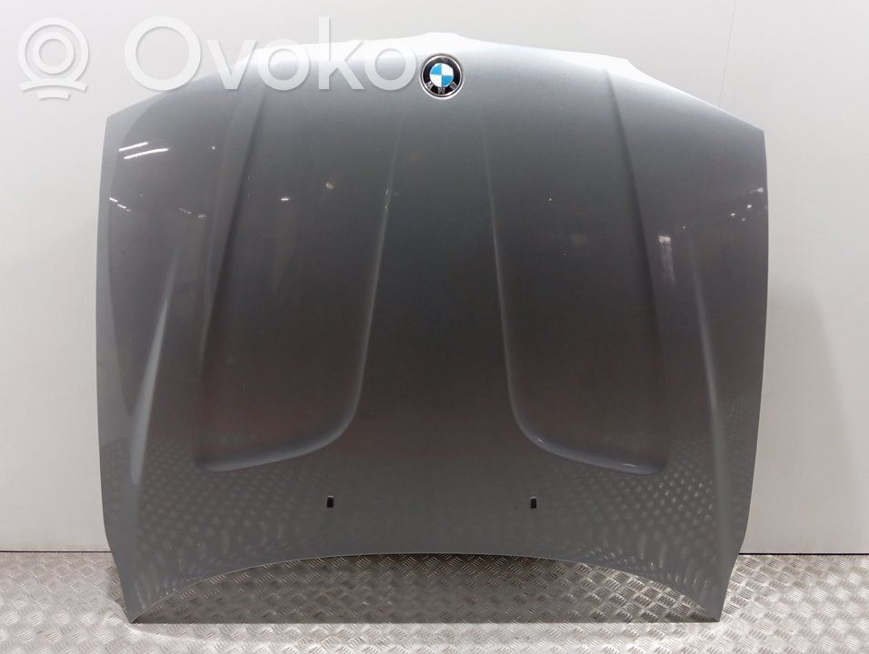 Dzinēja pārsegs (vāks)   41003449411