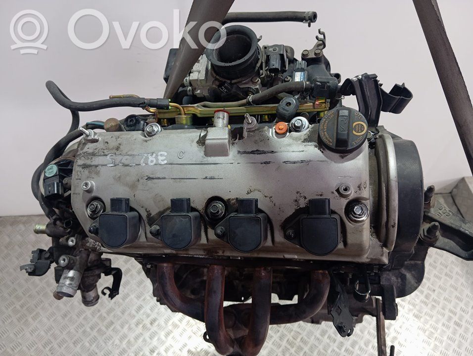 Motor   D16V1