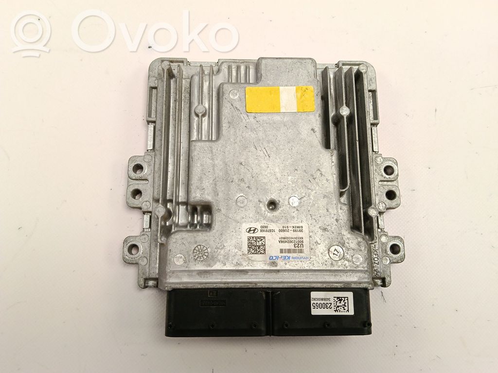 Hyundai Tucson TL Sterownik / Moduł ECU 