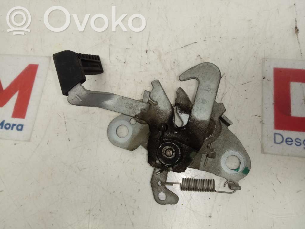 Tie down hook / loop   793482