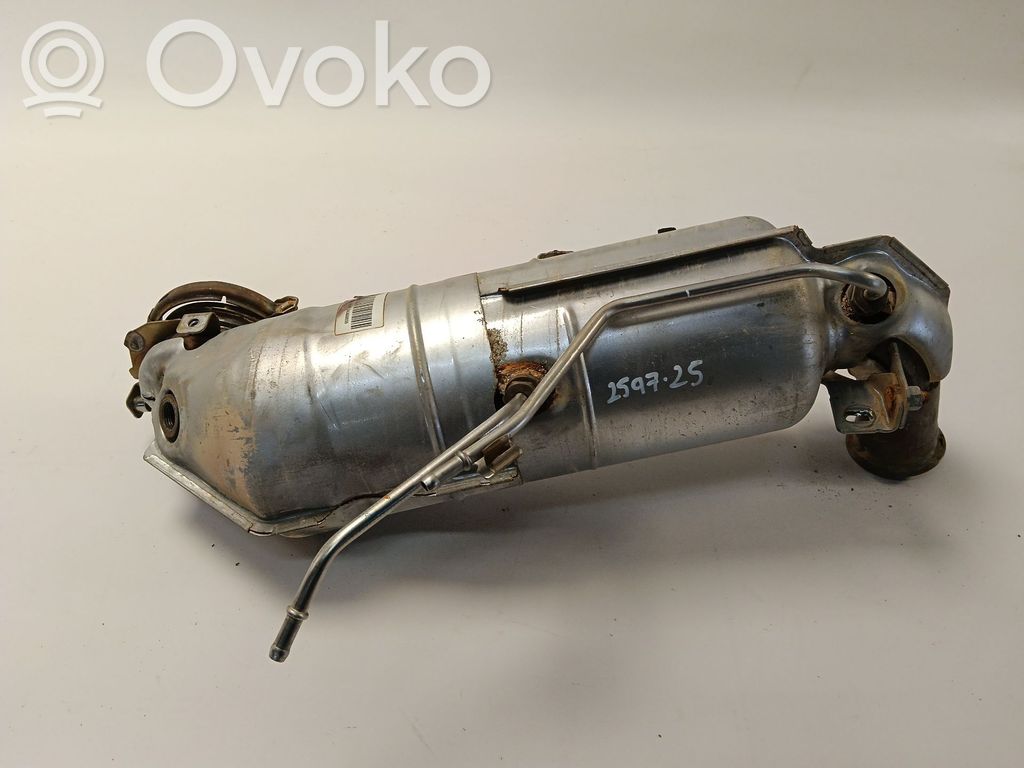 Filtr cząstek stałych Katalizator / FAP / DPF   9816188180,9848220180