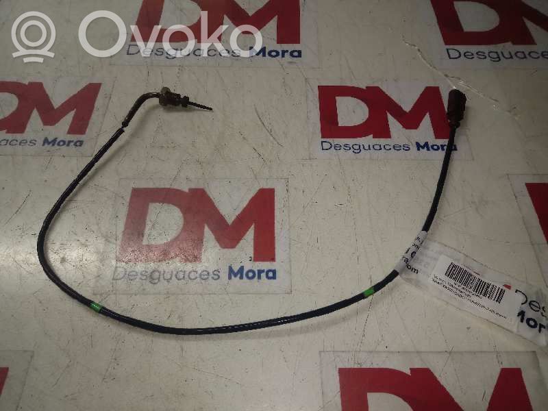 Anturi   04L906088EF