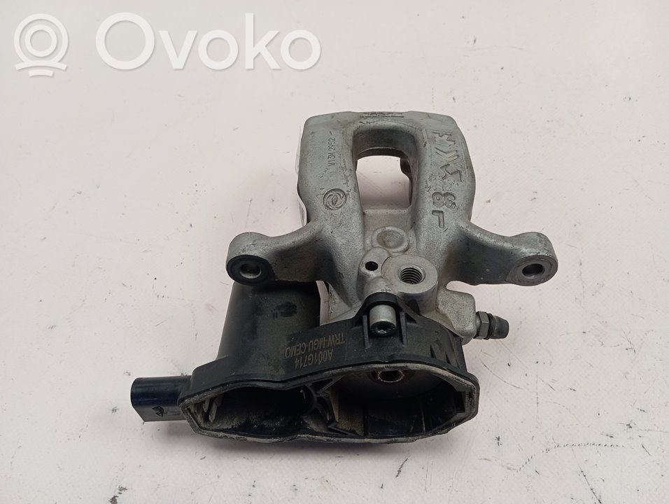 Takajarrusatula   9842295280