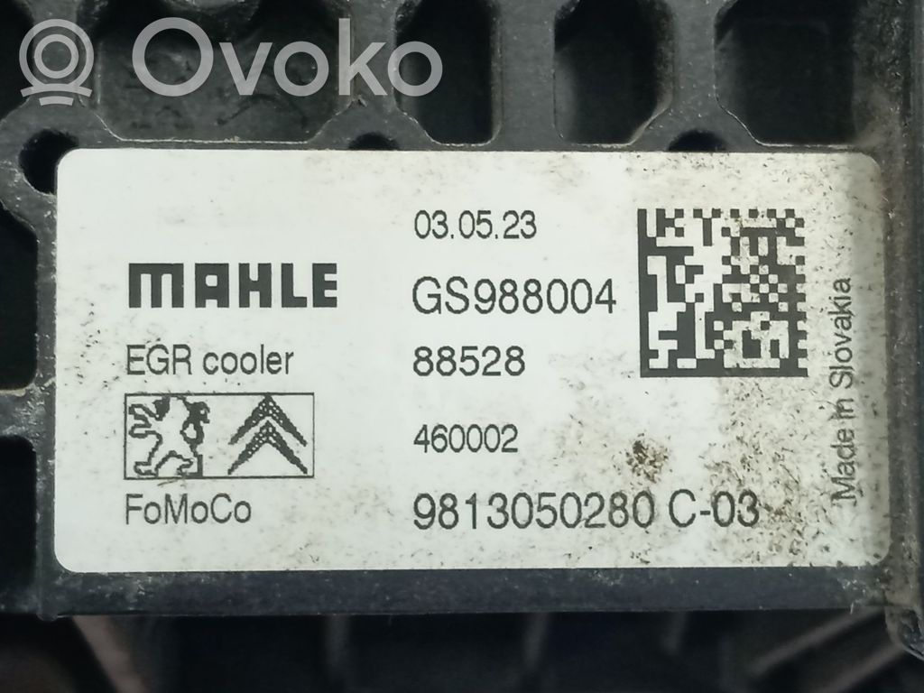 Răcitor supapă EGR   9813050280,GS988004