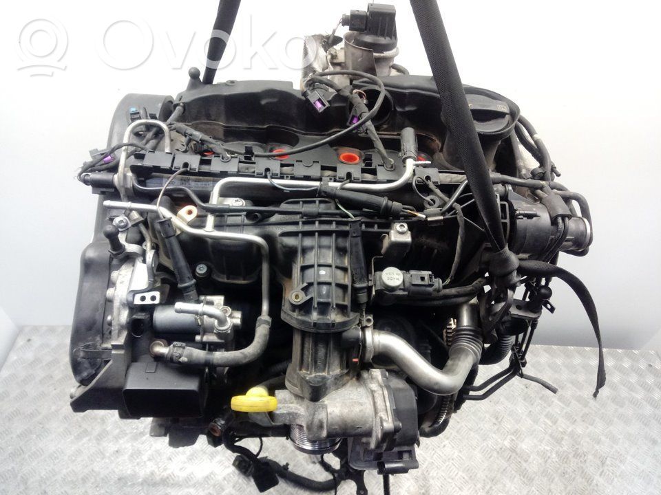 Motor   CAY,03L100031D
