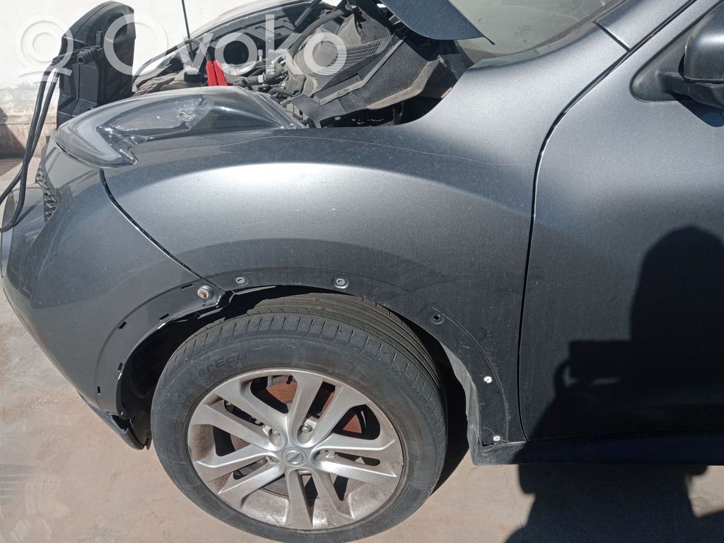 Nissan Juke I F15 Lokasuoja